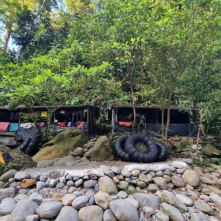 Lucky Bamboo'Bungalows-Resto And Orangutan Jungle Trekking Tours Букіт-Лаванґ Екстер'єр фото