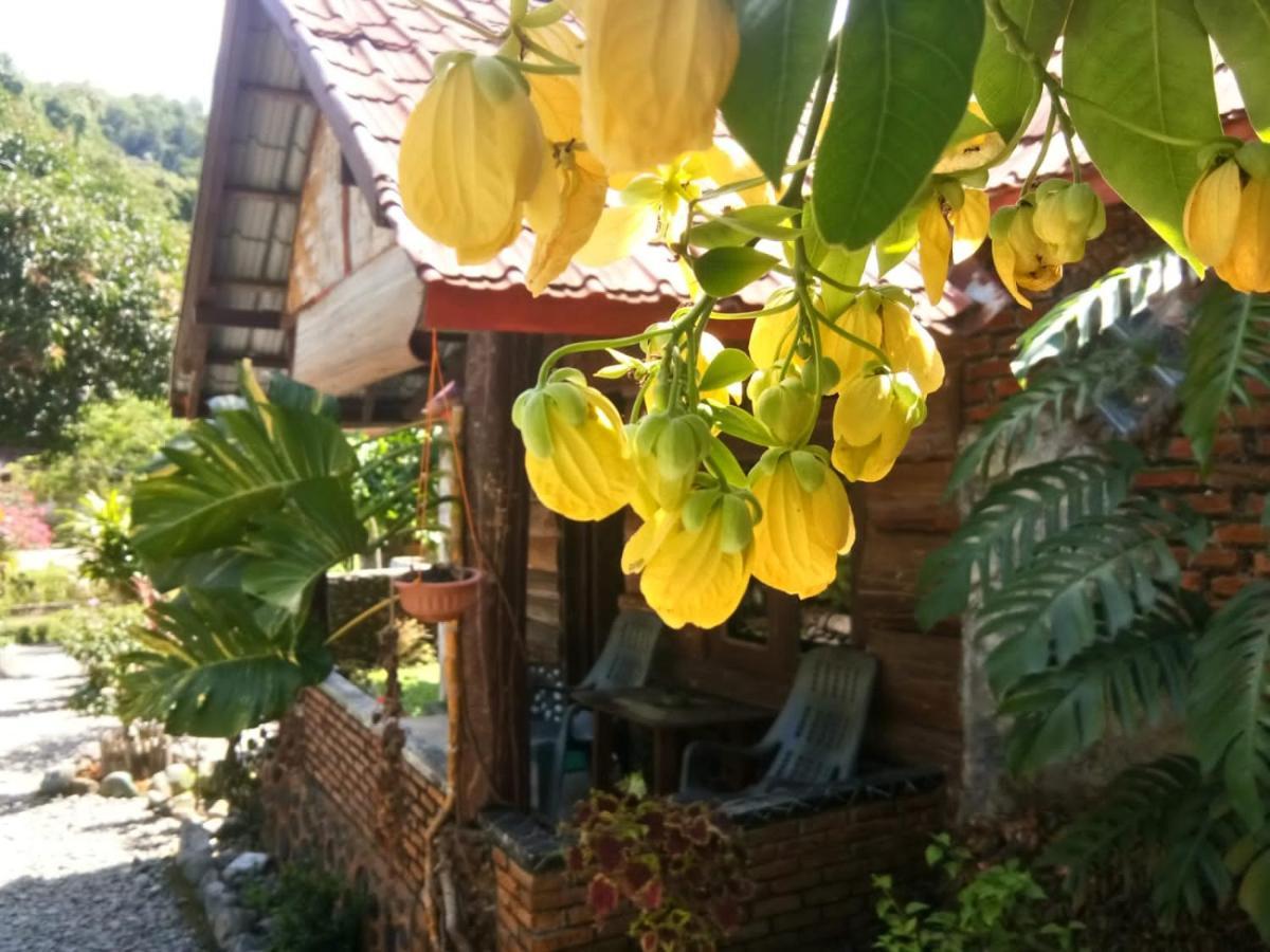 Lucky Bamboo'Bungalows-Resto And Orangutan Jungle Trekking Tours Букіт-Лаванґ Екстер'єр фото