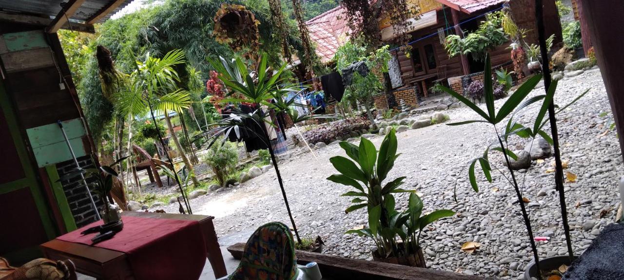 Lucky Bamboo'Bungalows-Resto And Orangutan Jungle Trekking Tours Букіт-Лаванґ Екстер'єр фото