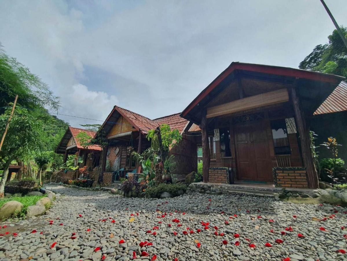 Lucky Bamboo'Bungalows-Resto And Orangutan Jungle Trekking Tours Букіт-Лаванґ Екстер'єр фото