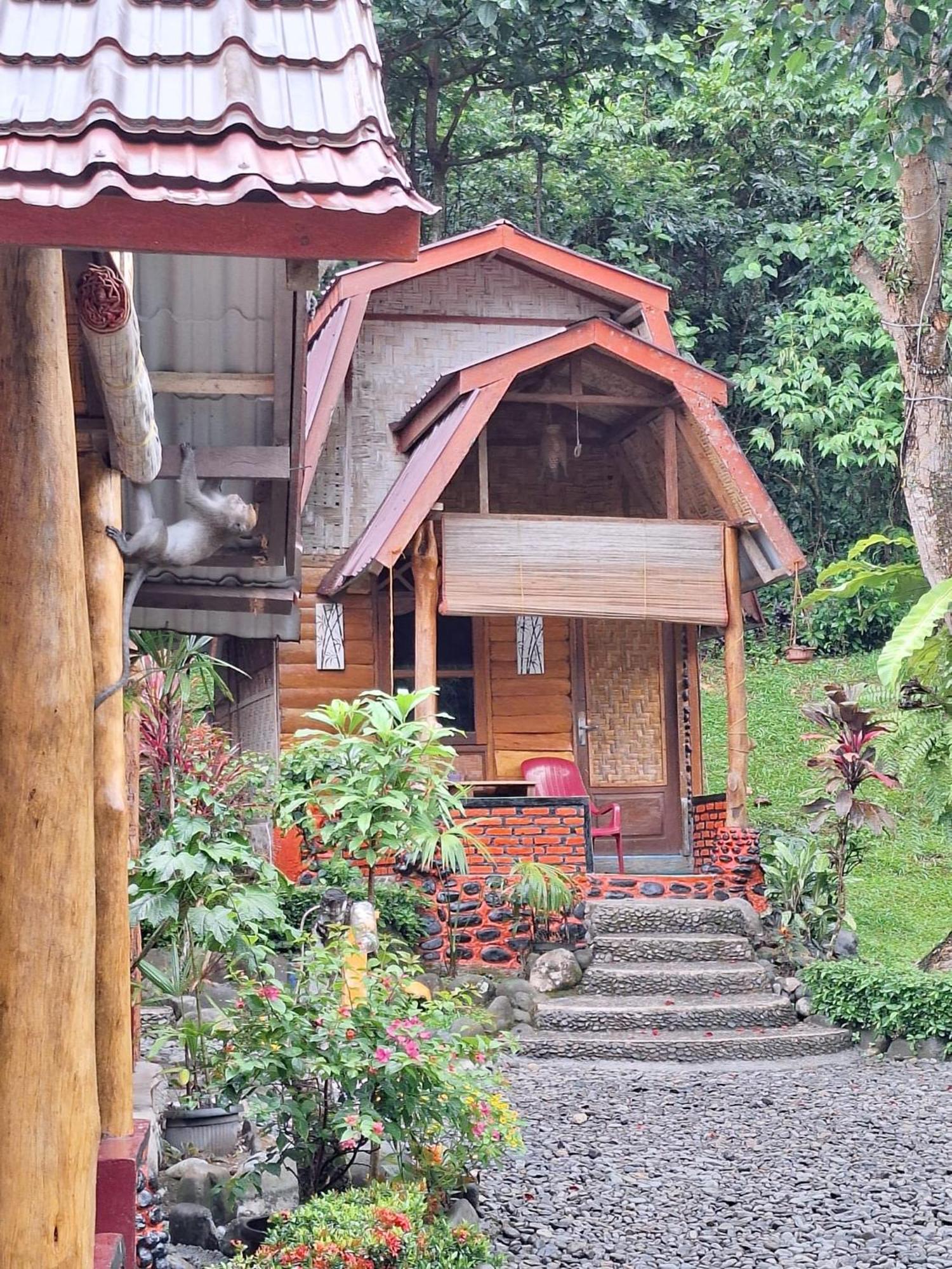 Lucky Bamboo'Bungalows-Resto And Orangutan Jungle Trekking Tours Букіт-Лаванґ Екстер'єр фото